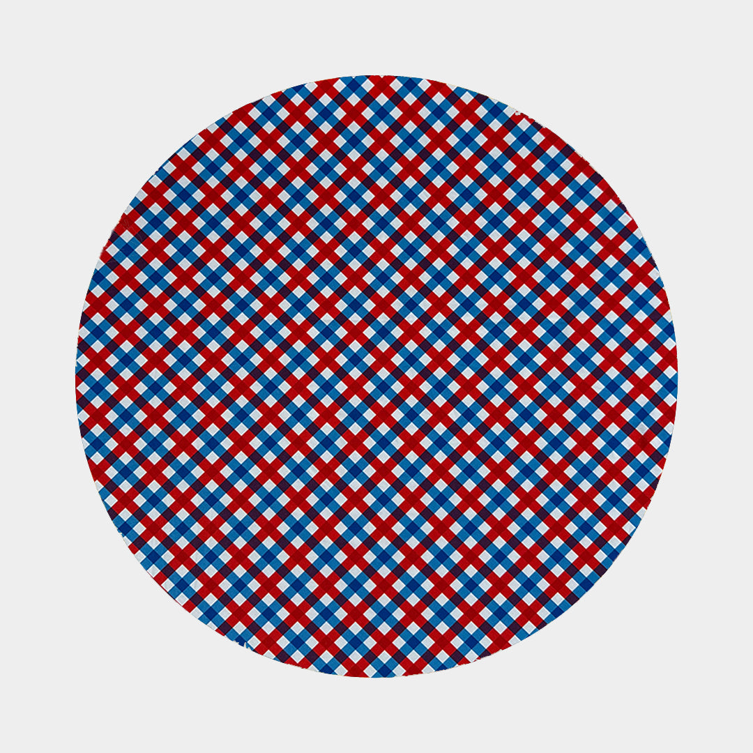 Red & Blue Gingham